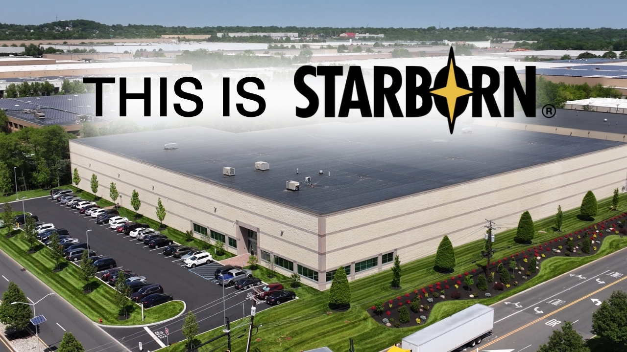 This is Starborn - Get a look inside Starborn