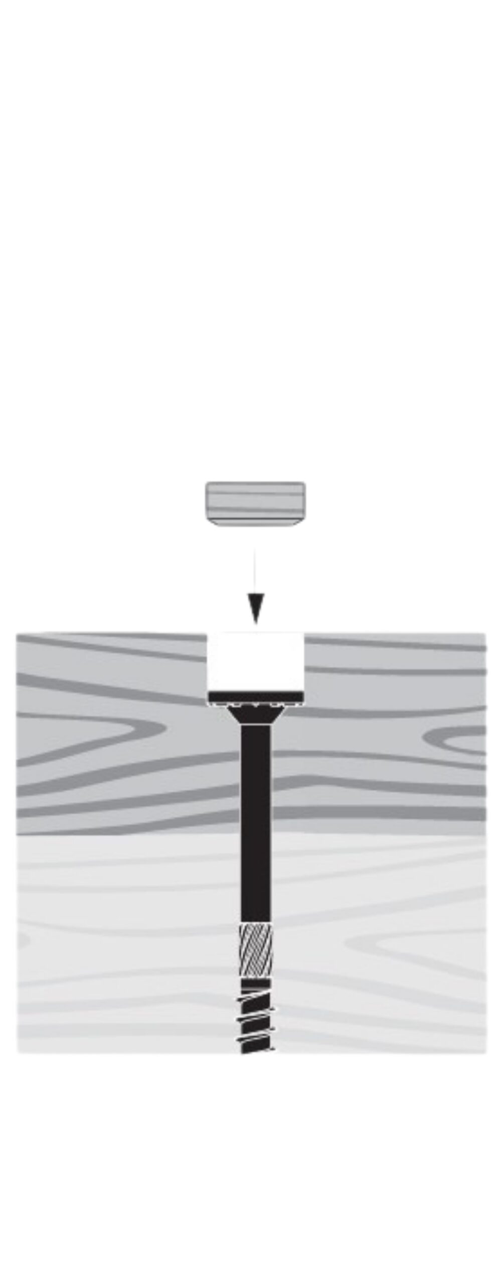 Internal Tree Plug PRO PLUG® SYSTEM - Structural Wood
